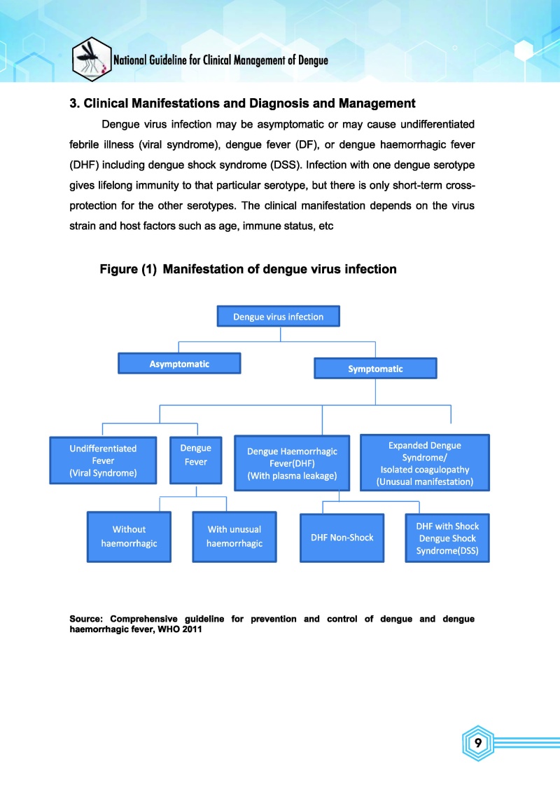 National Guideline For Clinical Management Of Dengue (2021) | Myanmar ...